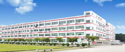 麻豆网站免费入口公司簡介