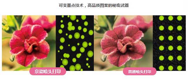  麻豆网站免费入口數碼